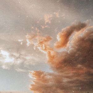 ✨🕊️ Live Listing 🕊️✨